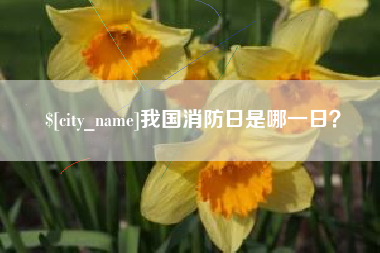 松滋我国消防日是哪一日？