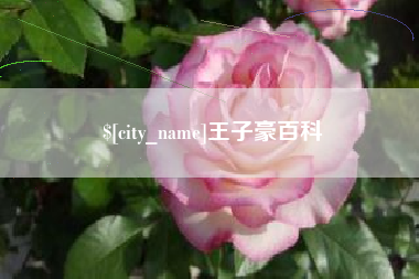 松滋王子豪百科