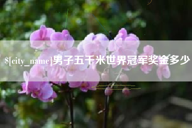 松滋男子五千米世界冠军奖金多少