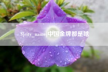 松滋中国金牌都是啥