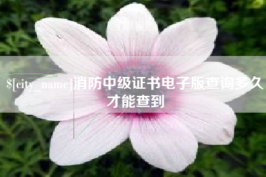 松滋消防中级证书电子版查询多久才能查到