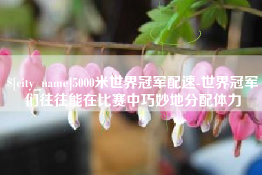 松滋5000米世界冠军配速-世界冠军们往往能在比赛中巧妙地分配体力