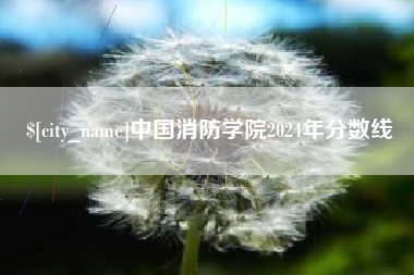 松滋中国消防学院2024年分数线