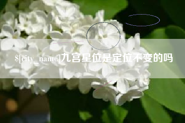 松滋九宫星位是定位不变的吗