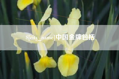 松滋中国金牌包括