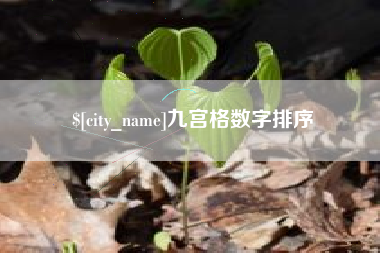 松滋九宫格数字排序