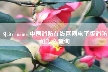 松滋中国消防在线官网电子版消防证怎么查询
