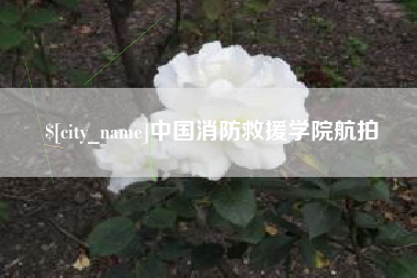 松滋中国消防救援学院航拍