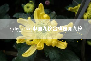 松滋中国九枚金牌是哪九枚