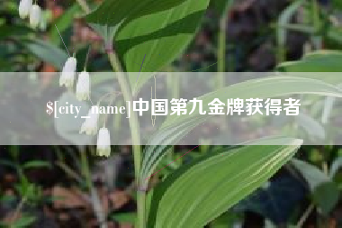 松滋中国第九金牌获得者