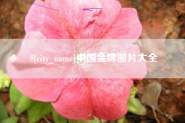 松滋中国金牌图片大全