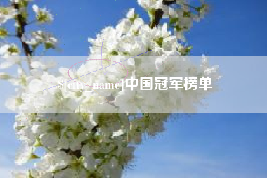 松滋中国冠军榜单
