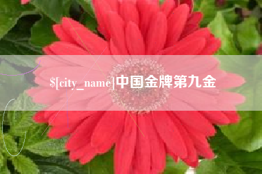 松滋中国金牌第九金
