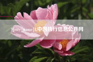 松滋1.中国执行信息公开网