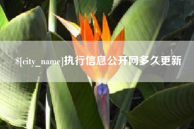 松滋执行信息公开网多久更新