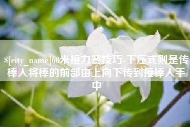 松滋60米接力赛技巧-下压式则是传棒人将棒的前部由上向下传到接棒人手中
