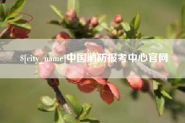 松滋中国消防报考中心官网