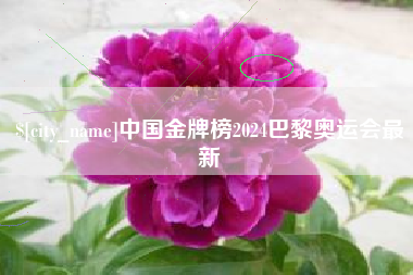 松滋中国金牌榜2024巴黎奥运会最新