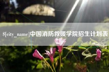 松滋中国消防救援学院招生计划表