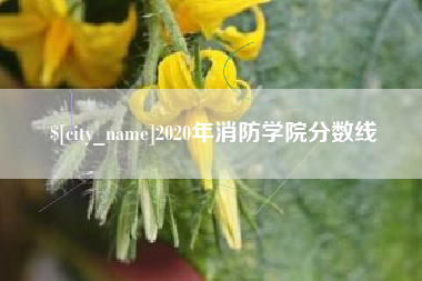 松滋2020年消防学院分数线