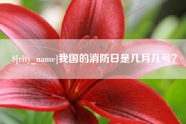 松滋我国的消防日是几月几号？