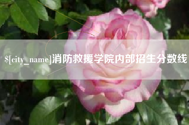 松滋消防救援学院内部招生分数线