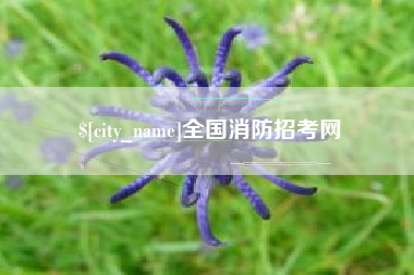 松滋全国消防招考网