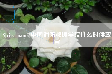 松滋中国消防救援学院什么时候政审