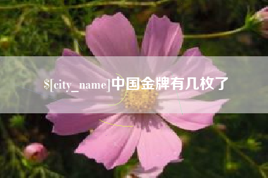 松滋中国金牌有几枚了