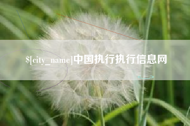 松滋中国执行执行信息网