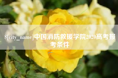 松滋中国消防救援学院2020高考报考条件