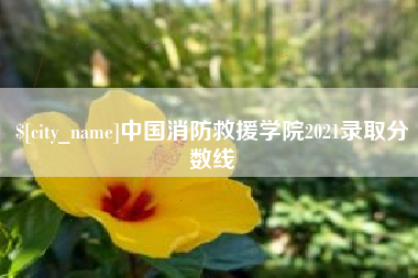 松滋中国消防救援学院2021录取分数线