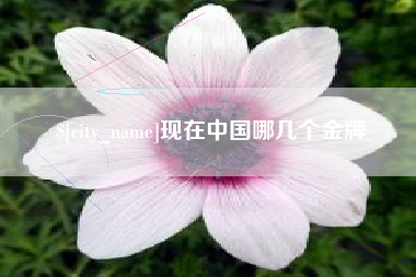 松滋现在中国哪几个金牌