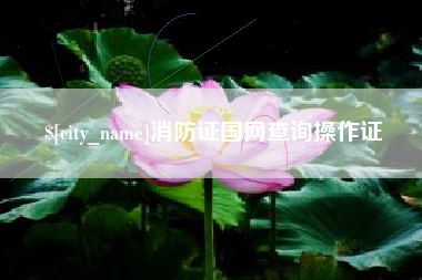 松滋消防证国网查询操作证