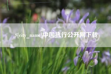 松滋中国执行公开网下载