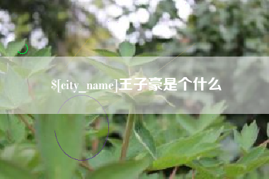 松滋王子豪是个什么