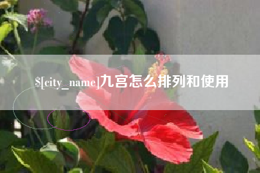松滋九宫怎么排列和使用