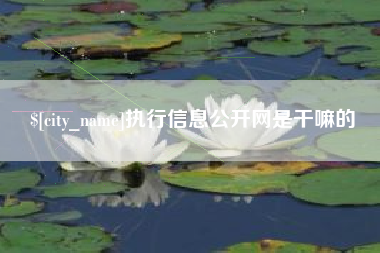 松滋执行信息公开网是干嘛的
