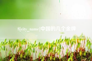 松滋中国的几个金牌