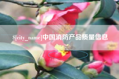 松滋中国消防产品质量信息