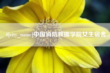 松滋中国消防救援学院女生宿舍