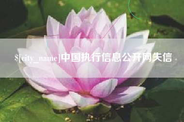 松滋中国执行信息公开网失信