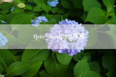 松滋2022九宫