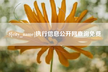 松滋执行信息公开网查询免费