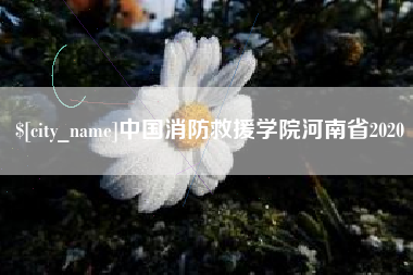 松滋中国消防救援学院河南省2020